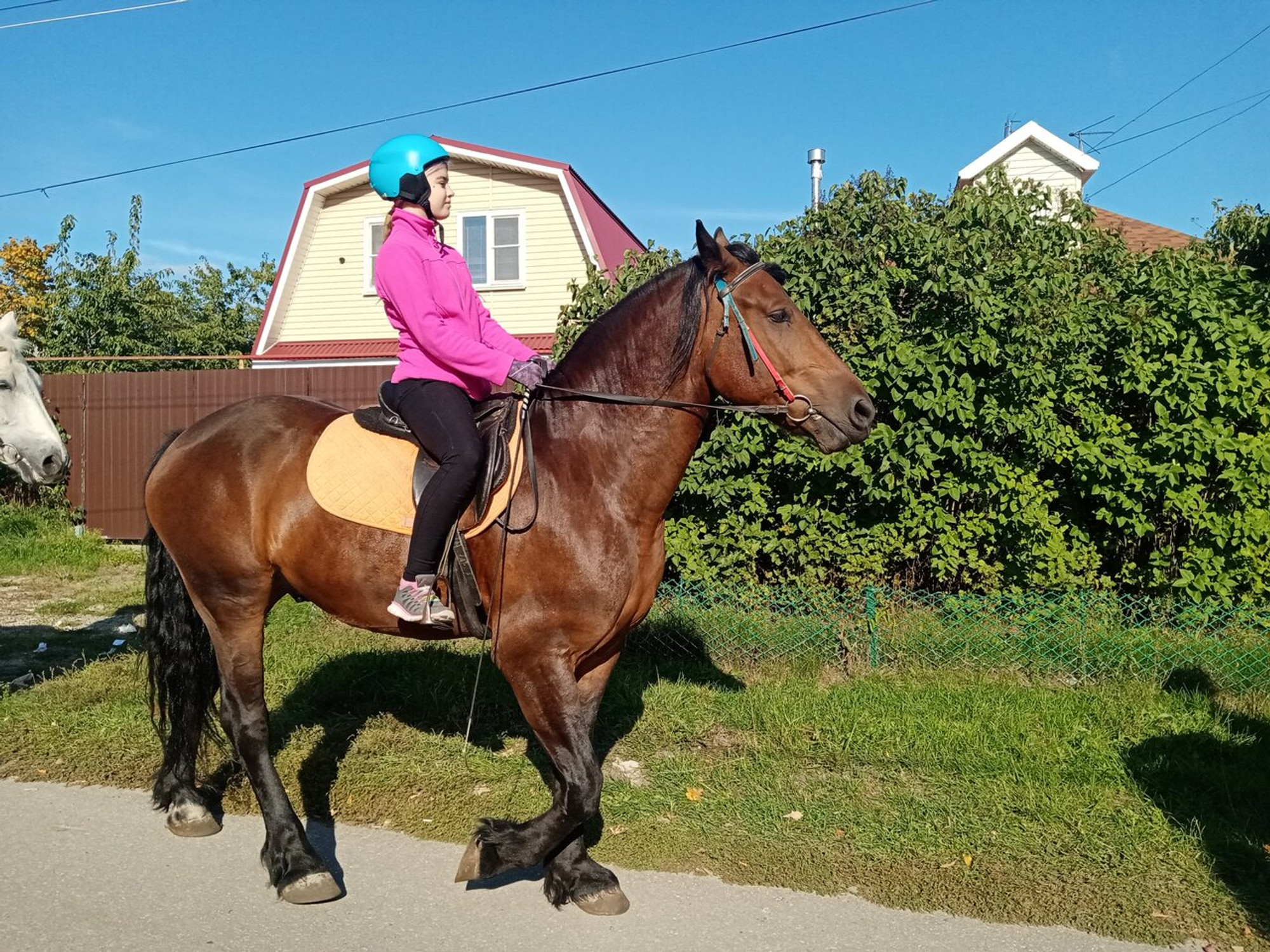 Изображение галлереи