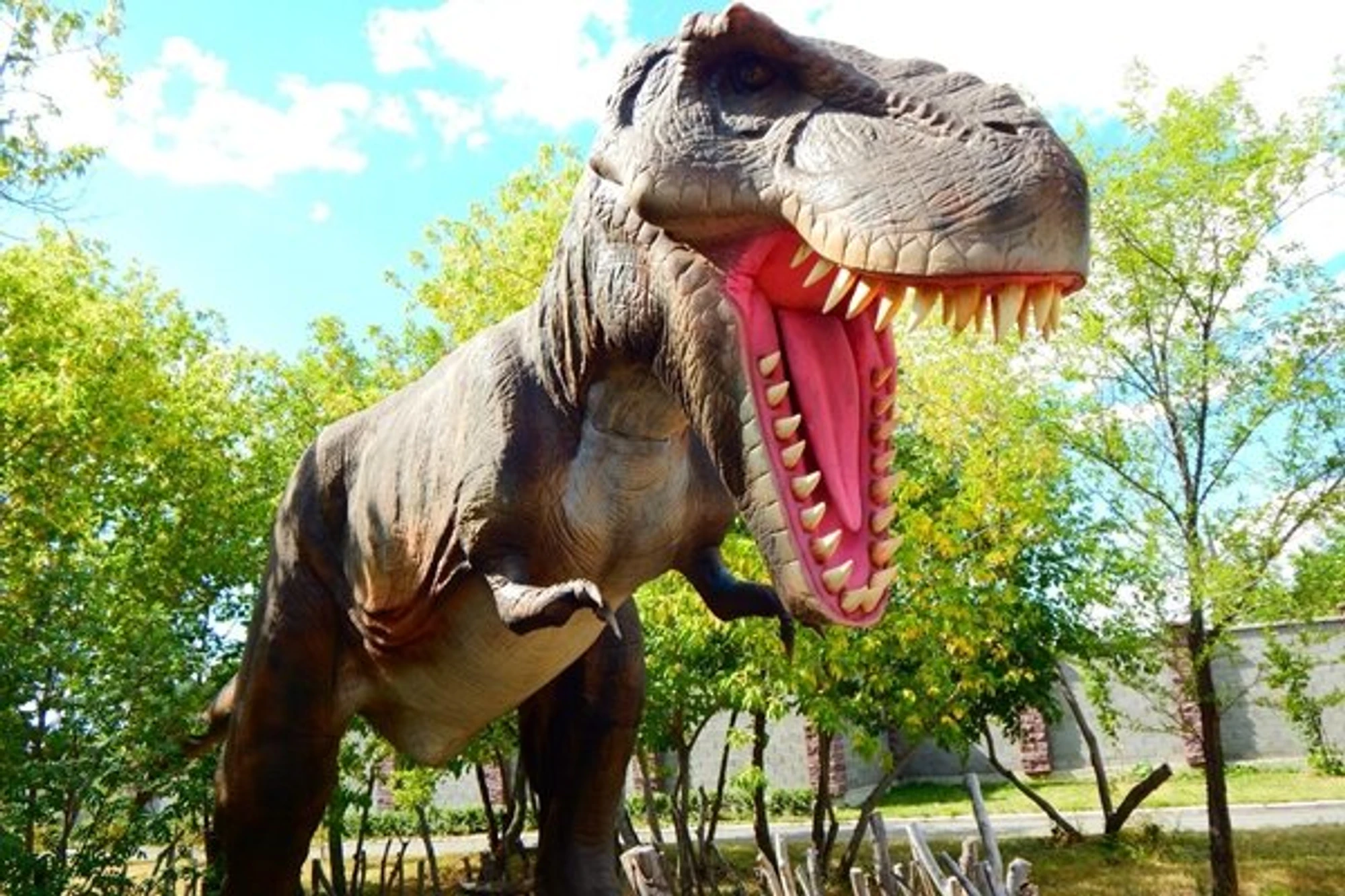 Динопарк (Развлекательный центр )