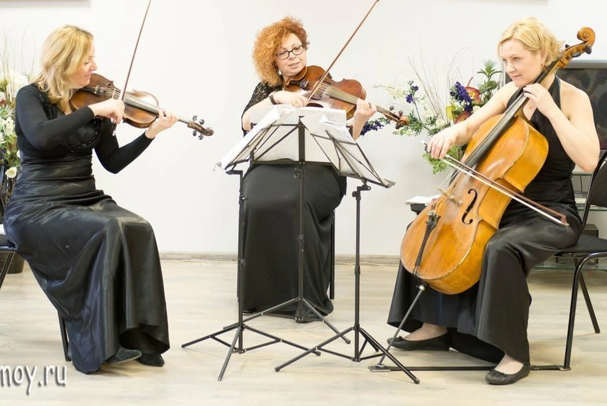 Концерт классической музыки (струнное трио) для детей