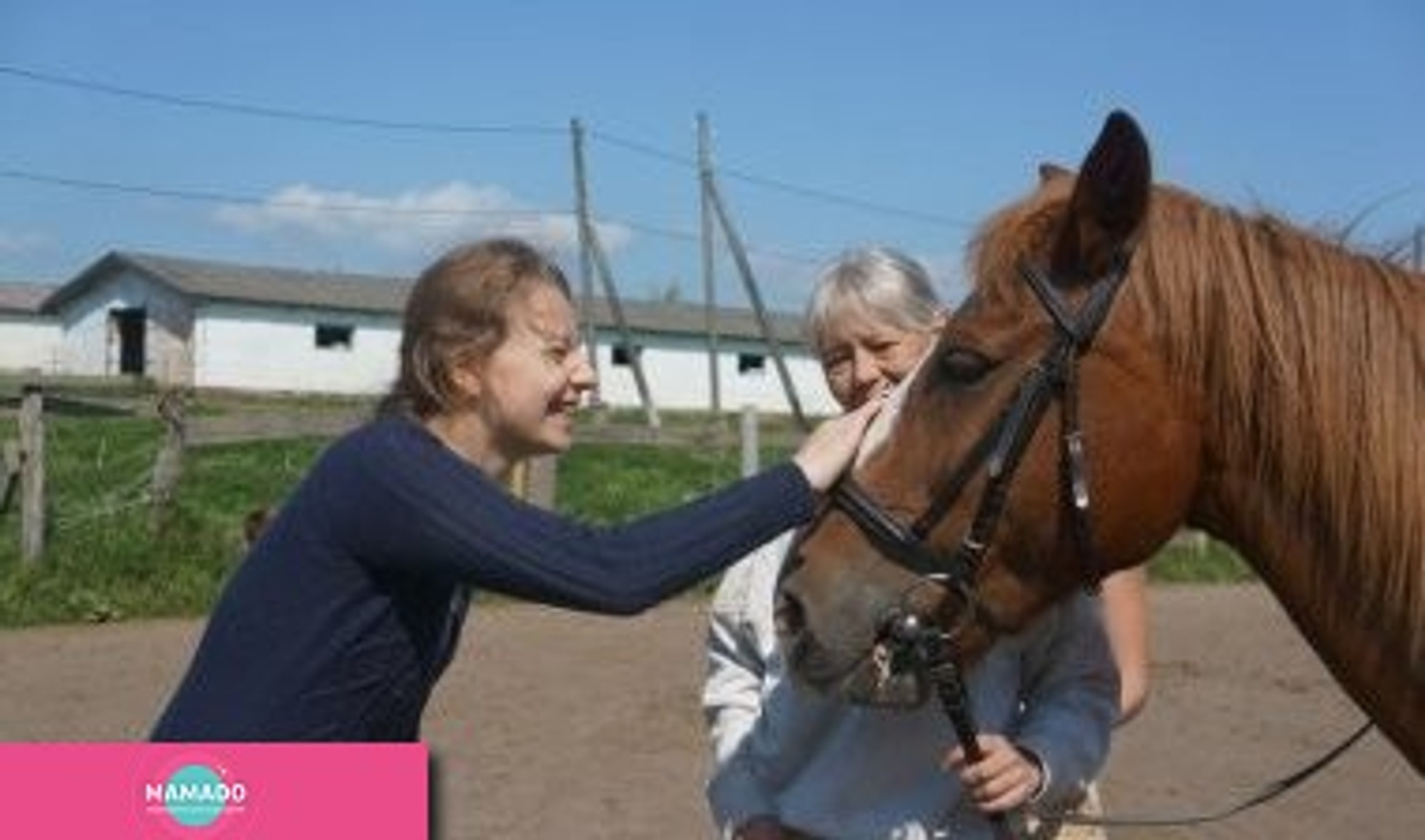 "Равновесие", центр развития и оздоровление, иппотерапия в Калининграде 