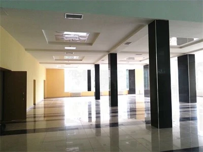 Детская музыкальная школа пос. Лесные Поляны (Музыкальное образование )