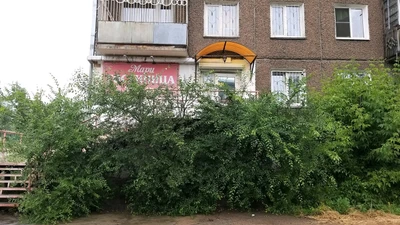 Мари (Гостиница)