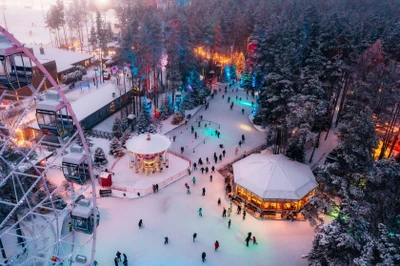 "Лесной каток" в хвойном лесу "Охта Парка"