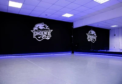 Феникс (Школа танцев )
