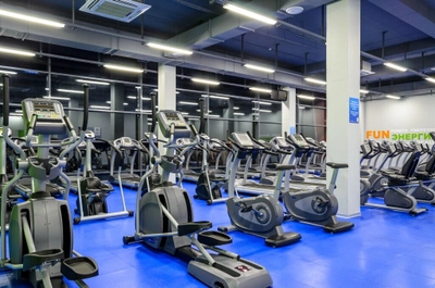 Alex Fitness