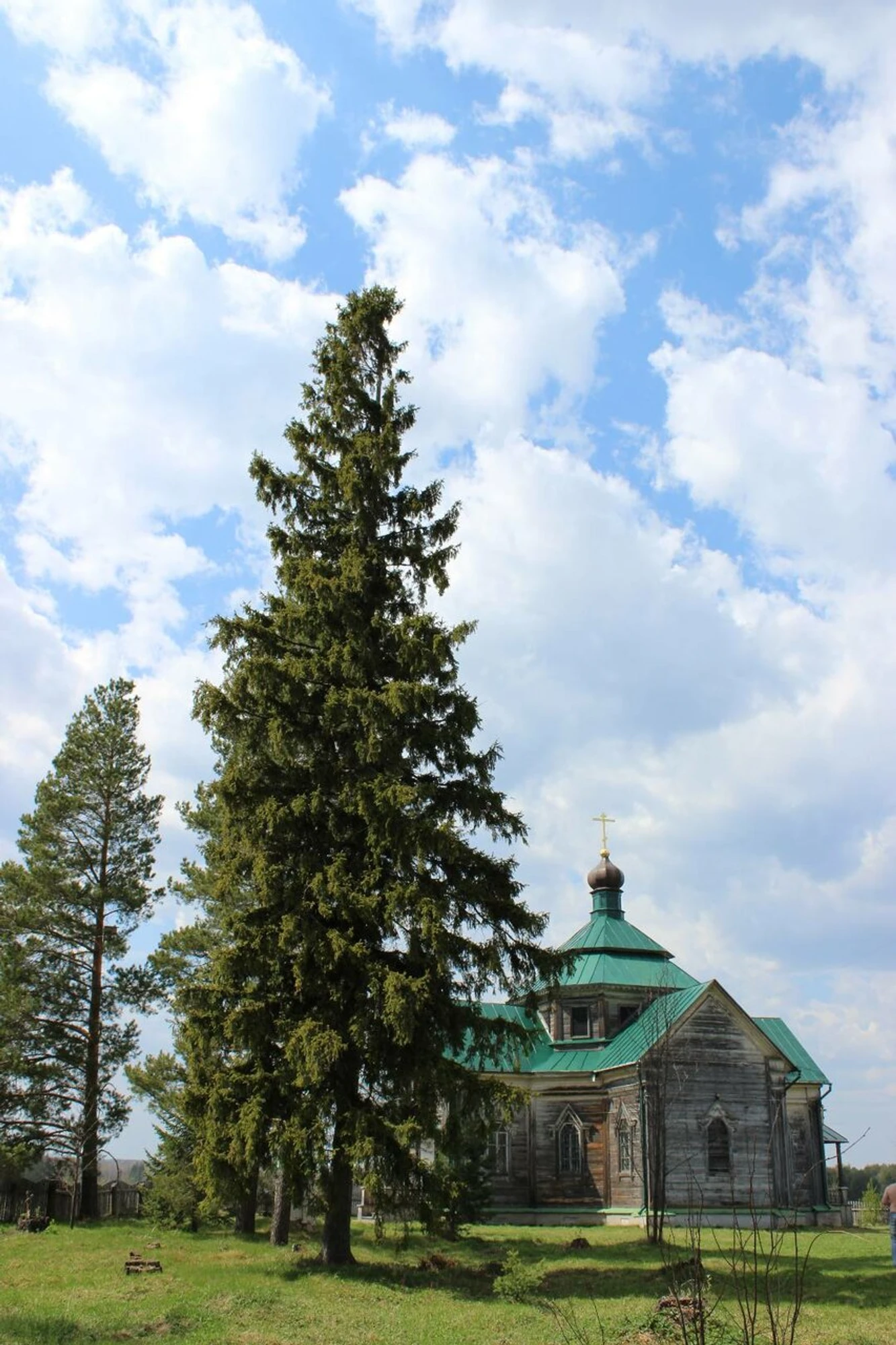 Церковь Троицы Живоначальной в Троицком (Православный храм)