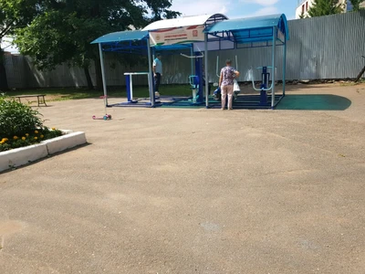 Дополнительное образование (Спортивный клуб, секция)