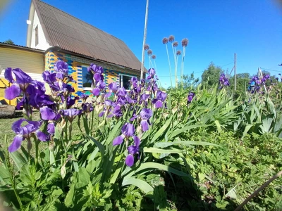 Гостиница у Храма (Гостиница)