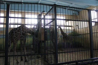 Калининградский зоопарк (Зоопарк)