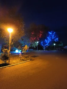 Парк динозавров Динопарк (Парк культуры и отдыха )