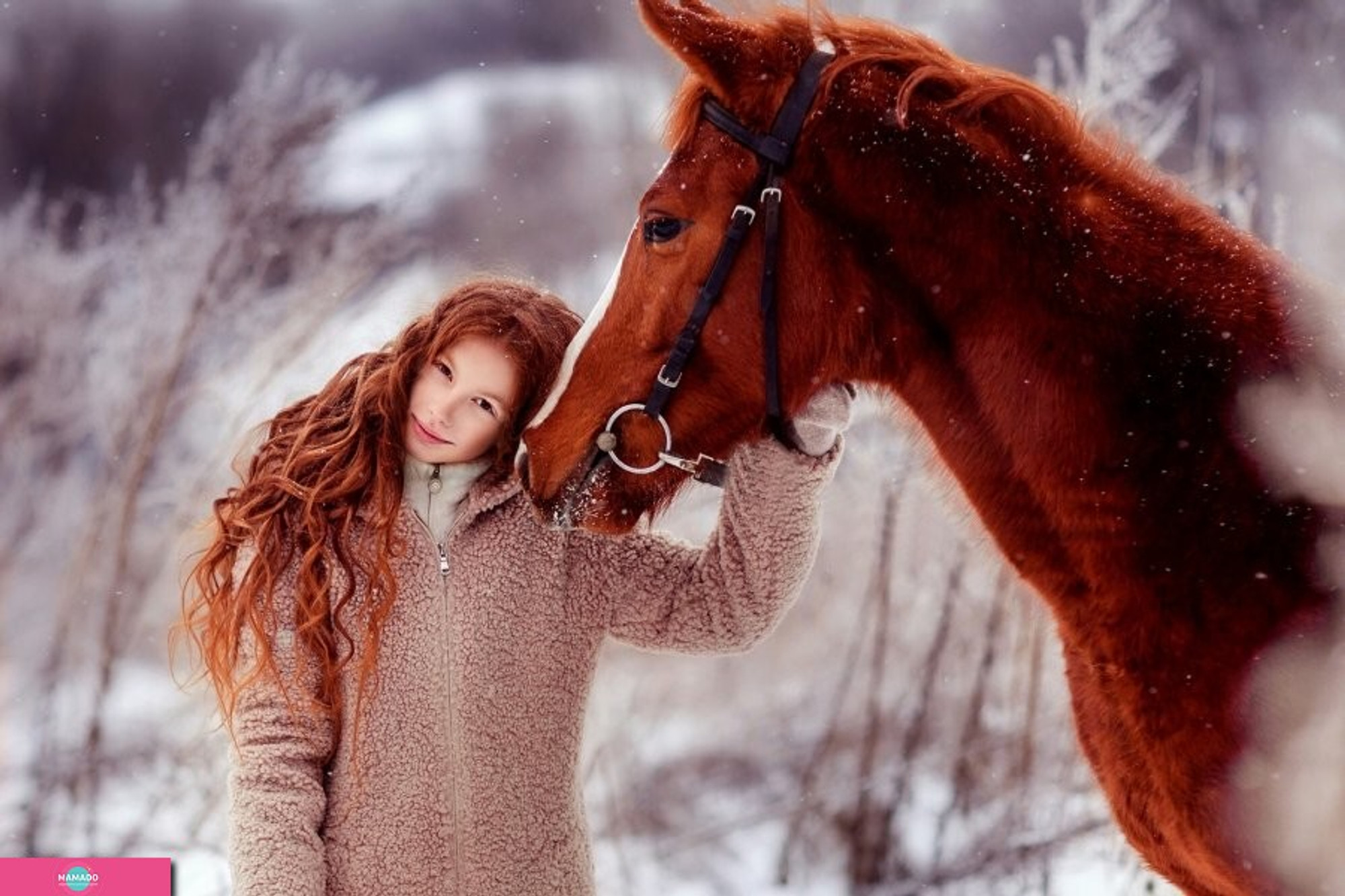 "Царские владения", конный клуб в поселке Журавли, Самарская область 