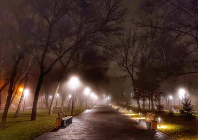 Сквер Дубки (Сквер )