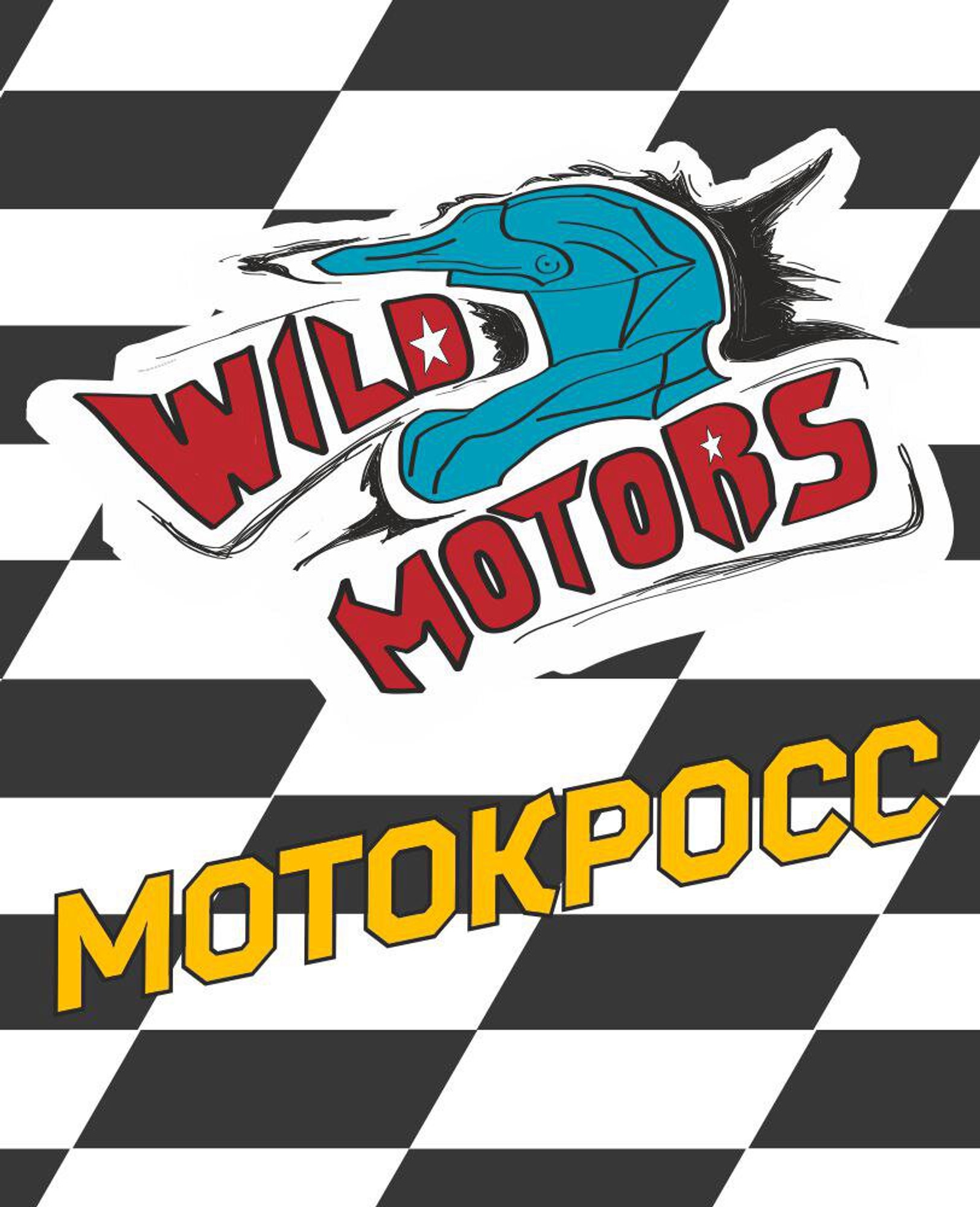 Wild motors (Мотошкола )