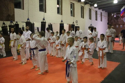 Янтарный Дракон (Спортивный клуб, секция)