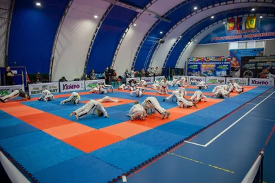 Турниры по кэмпо: смешанные единоборства ММА и грэпплинг (Спортивное объединение )