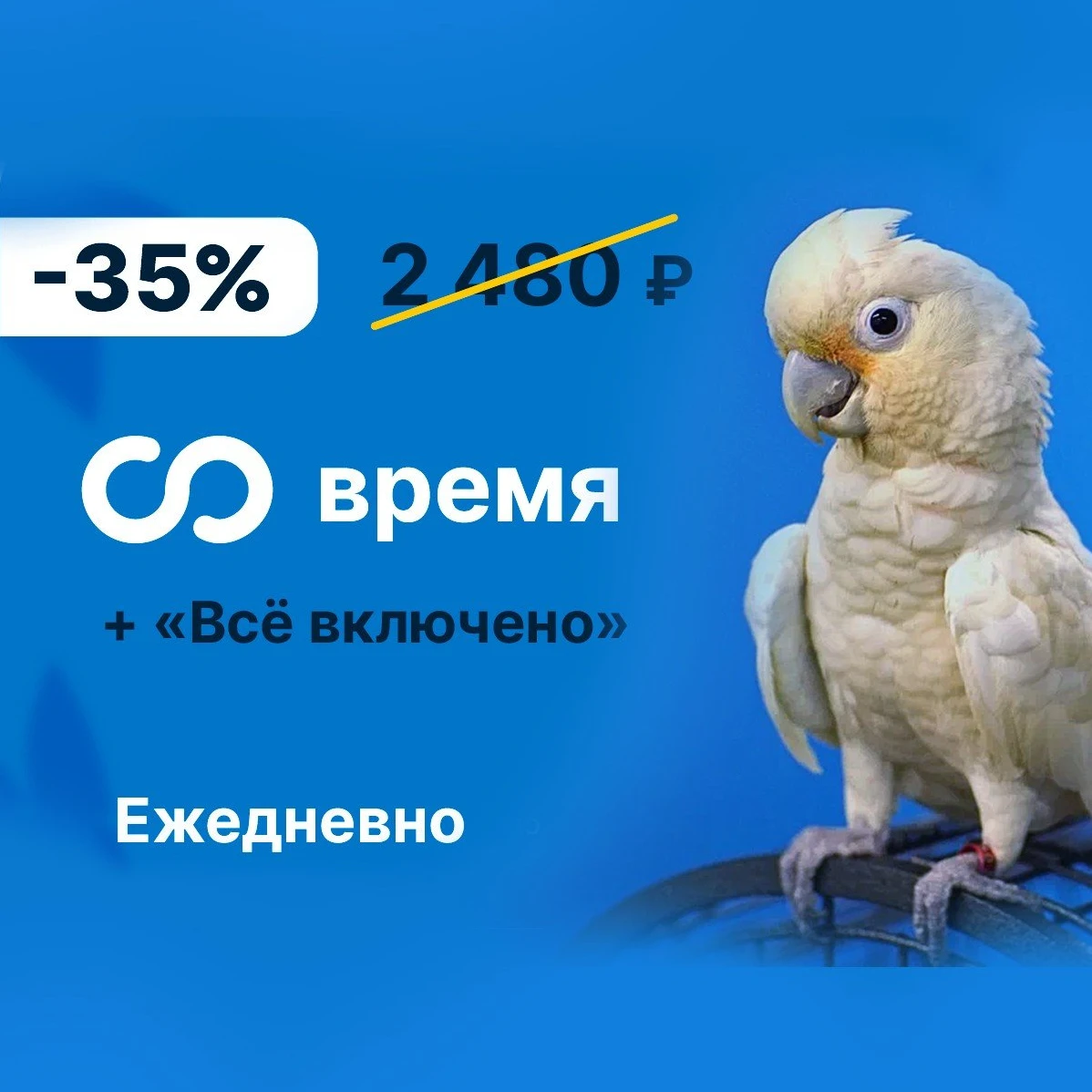 Безлимитное посещение со скидкой -35% в тайм-кафе "Мир Какаду"