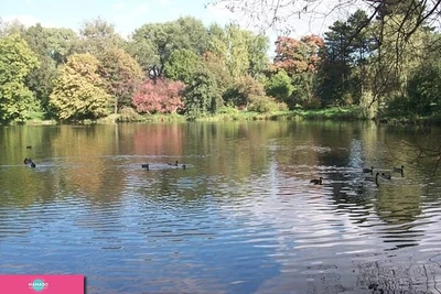 Ботанический сад БФУ имени Канта, Калининград 