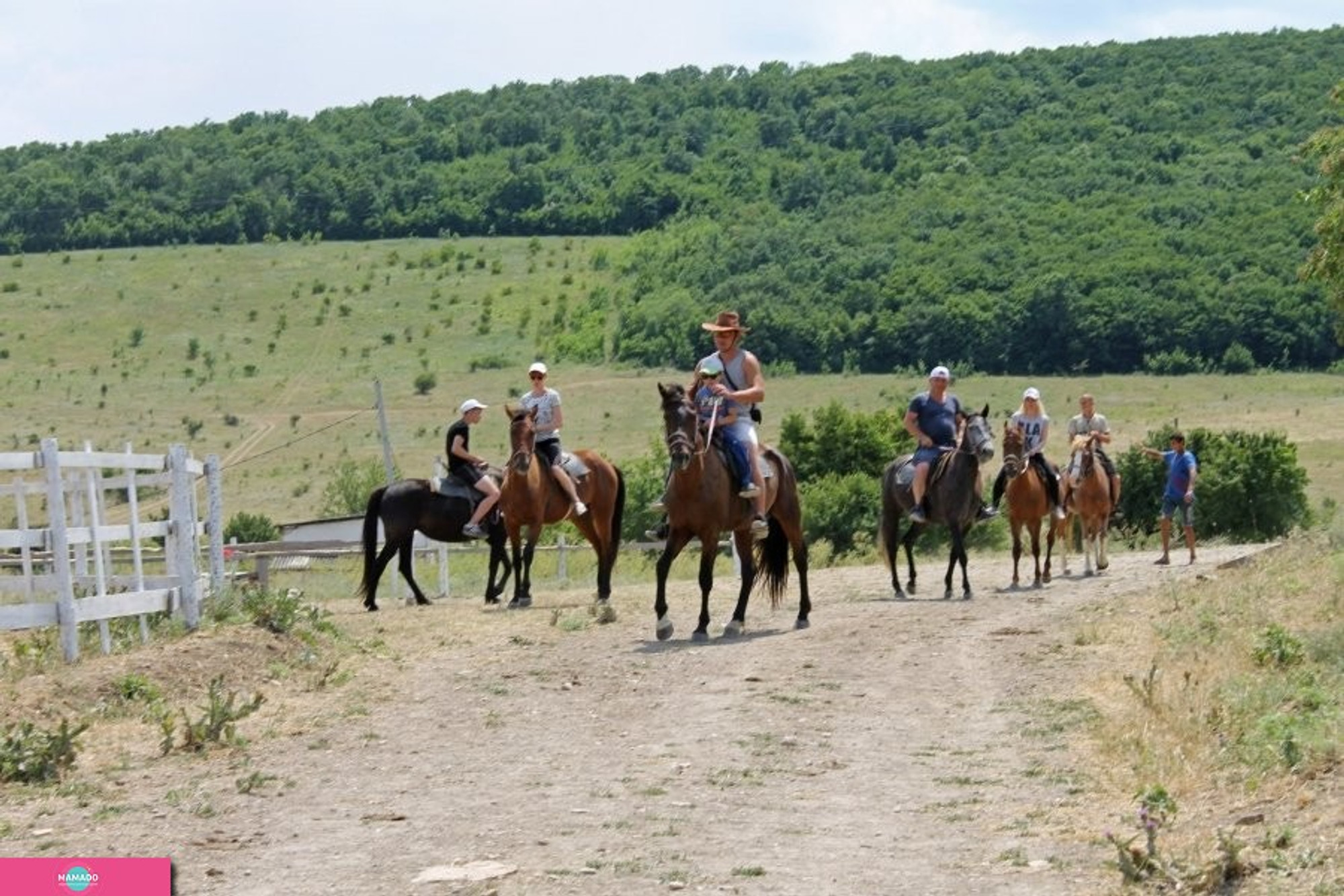 "Золотая шпора", конный клуб в поселке Гай-Кодзор, Анапа, Краснодарский край 