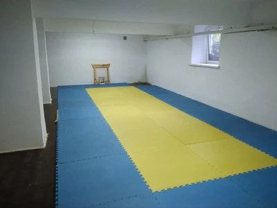Центральный клуб Айкидо (Спортивный клуб, секция )
