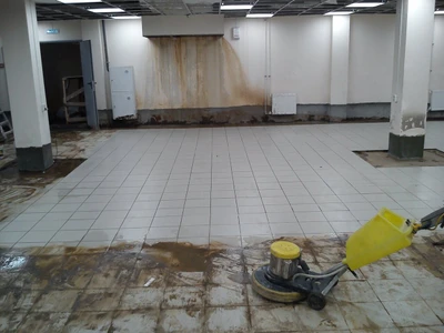 Клининговая компания Чистюля (Клининговые услуги )