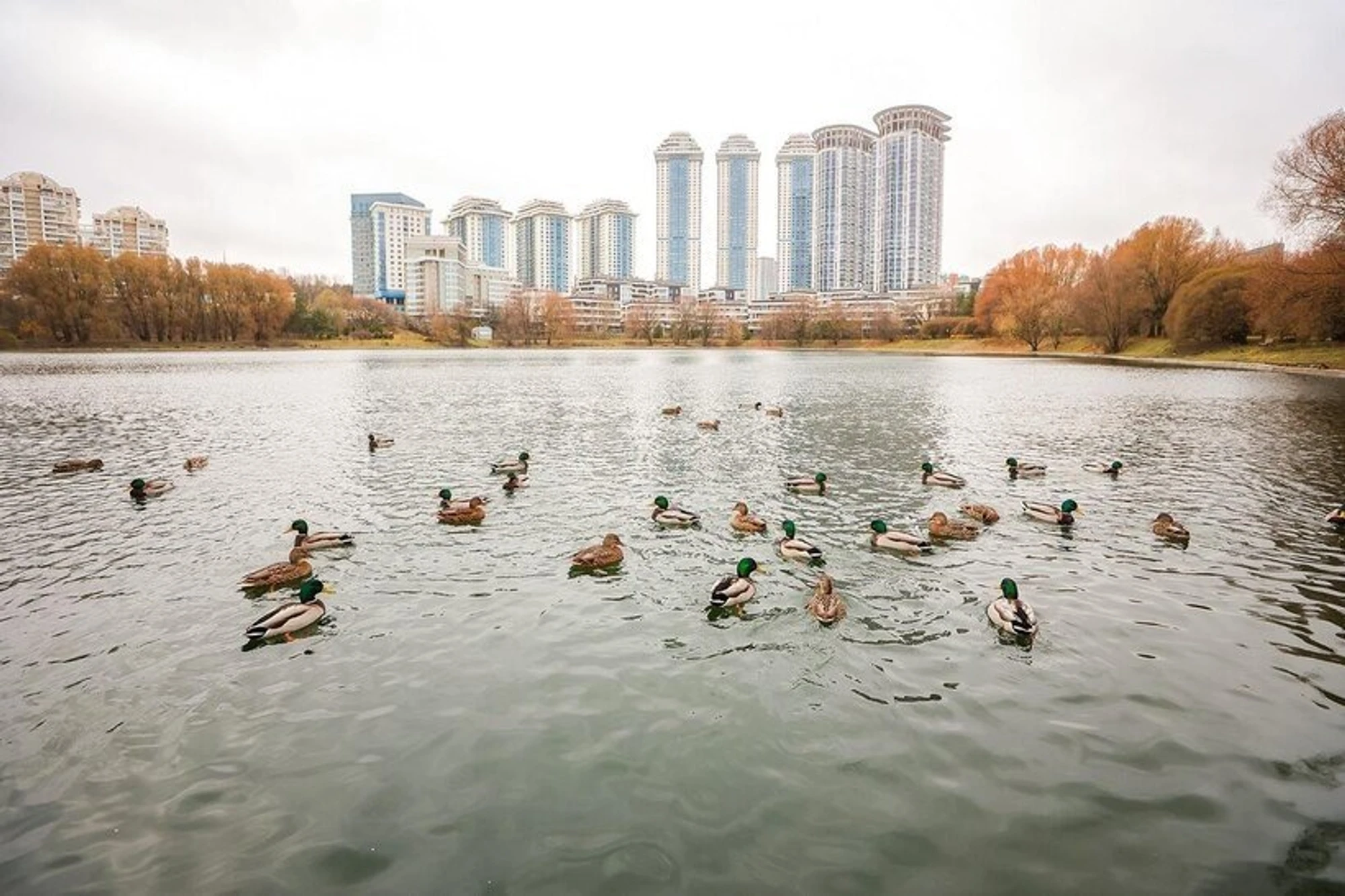 Фото: mos-gaz.ru