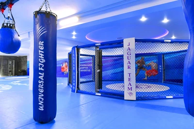 Центр единоборств Ягуар (Спортивный клуб, секция)