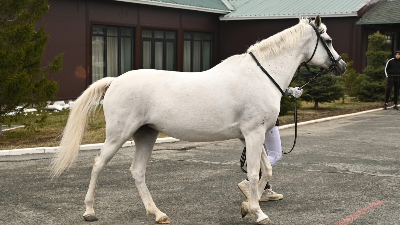Загородный КСК "Белая лошадь" в Кадниково, Свердловская область