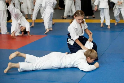 Айкидо (Спортивный клуб, секция)