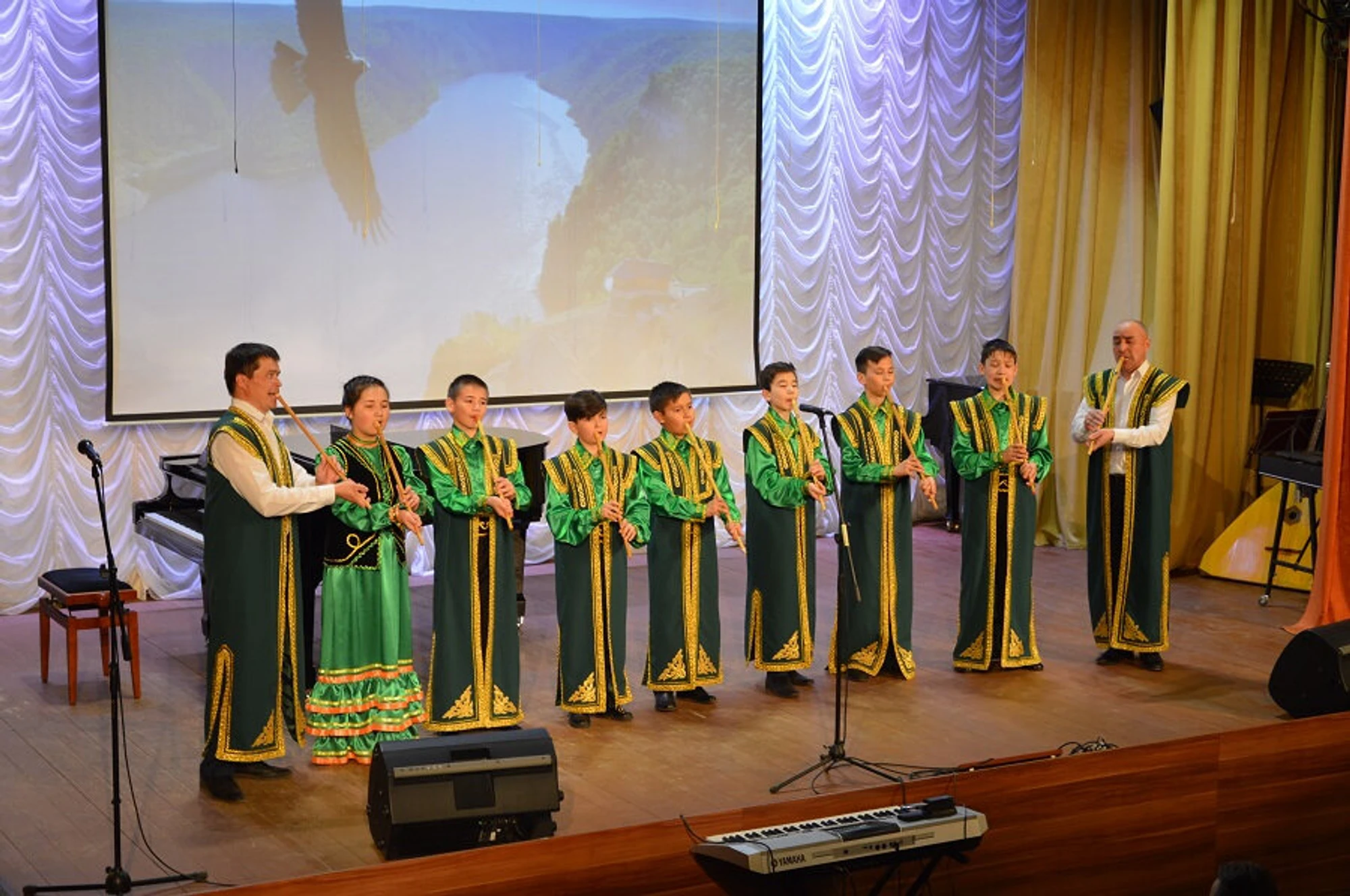 Детская музыкальная школа (Дополнительное образование )