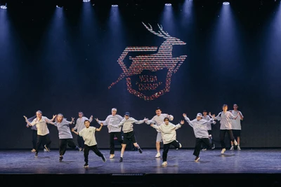 Танцевальная студия Dansok (Школа танцев)