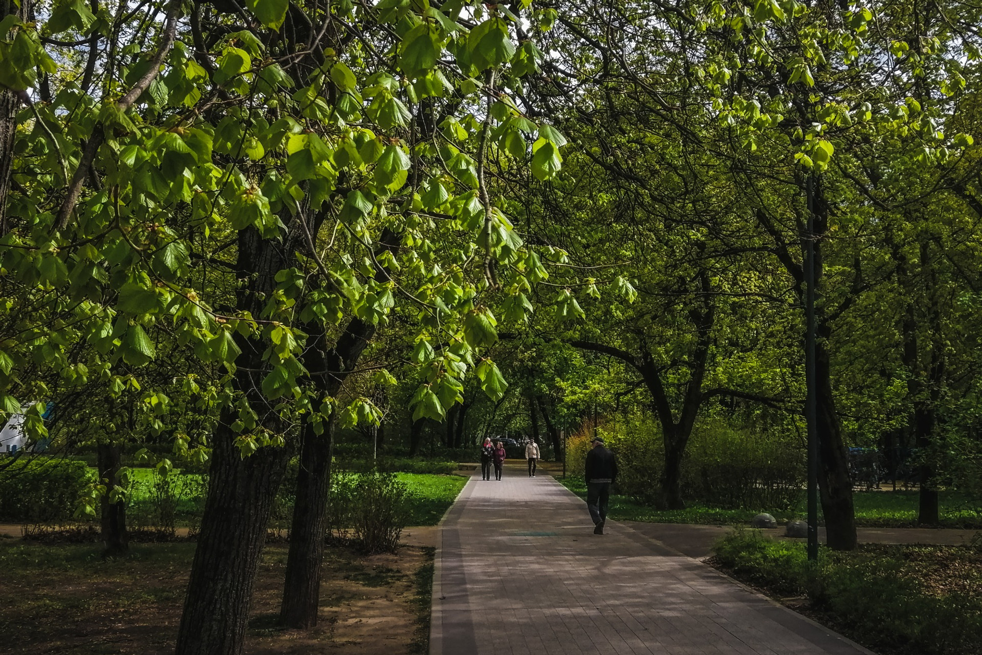 Фото: 2gis.ru,&nbsp;park-dubki.ru