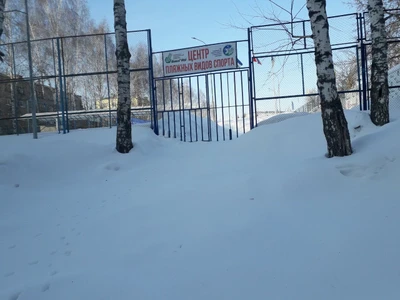 Центр пляжных видов спорта (Спортивный клуб, секция)
