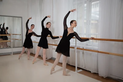 Amateur ballet Academy (Школа танцев )