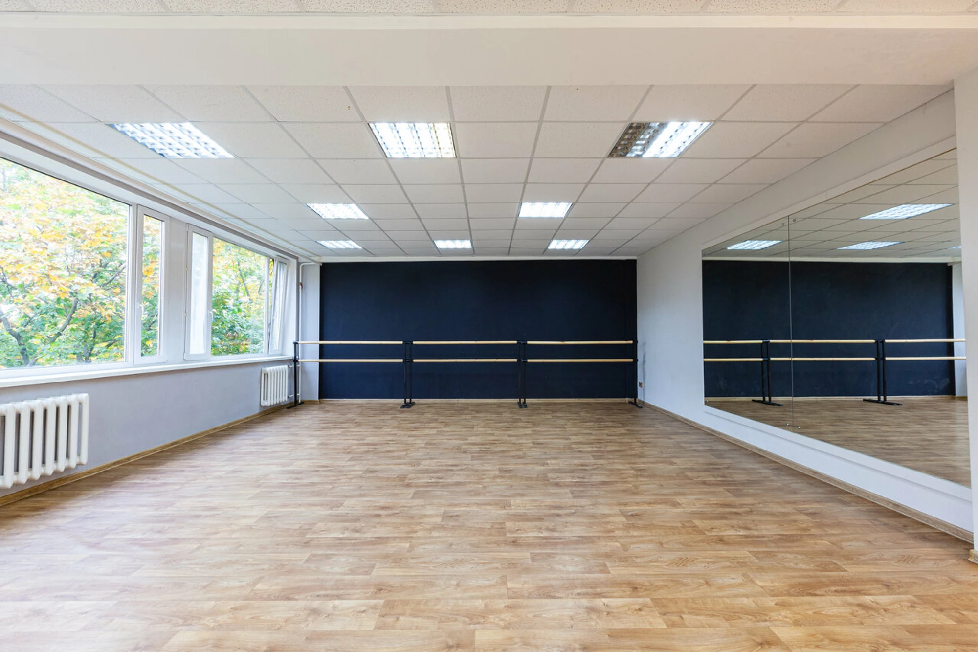 Панорама (Школа искусств )