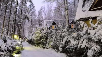 Прокат горнолыжного инвентаря!