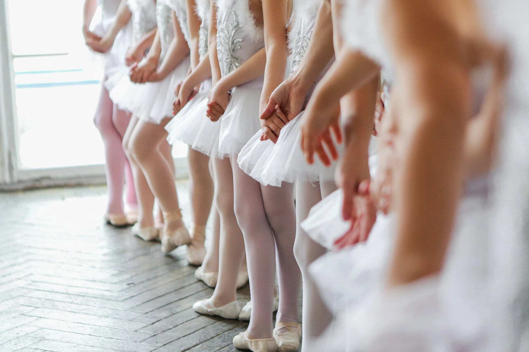 Хореографическая балетная студия Династия (Школа танцев )