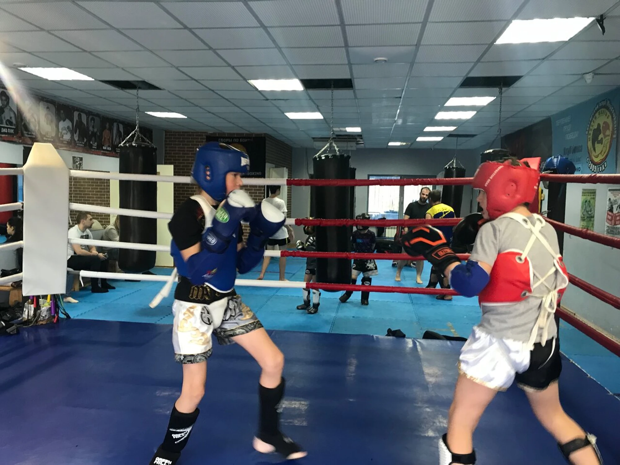 Тайский бокс Muay Thai D.F.T. (Спортивный клуб, секция )