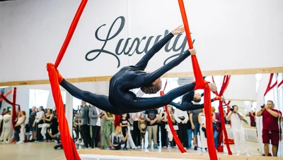 LUXURY Pole Dance Studio (Школа танцев)