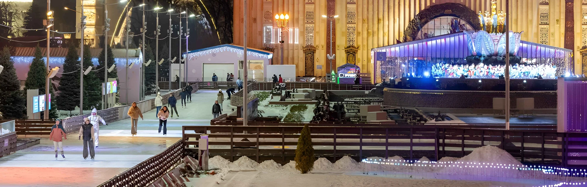 Поездка с детьми на самый большой каток в Москве на ВДНХ