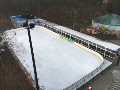 Ледовый каток Golden Way (Каток )
