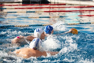 Секции водных видов спорта для детей от бассейна под открытым небом Чайка