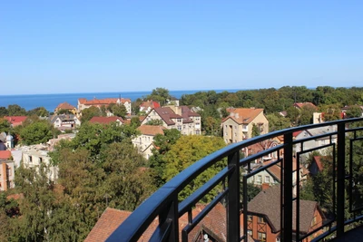 Музей кошек Мурариум (Музей )