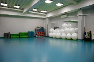 Profitness Plus - Артиллерийская (Фитнес-клуб )