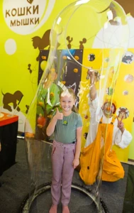Кошки-мышки (Детские игровые залы и площадки )