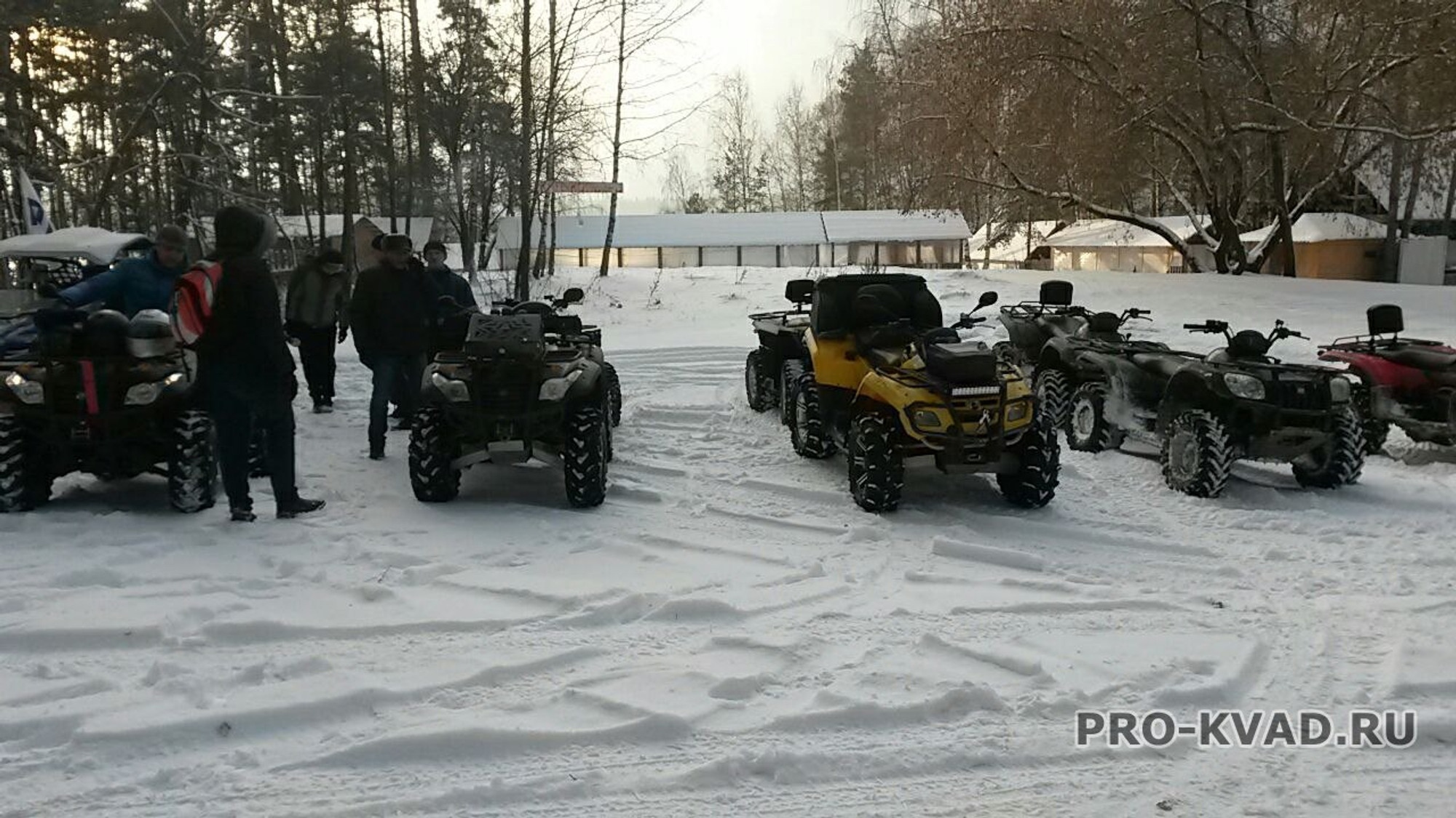 Изображение галлереи