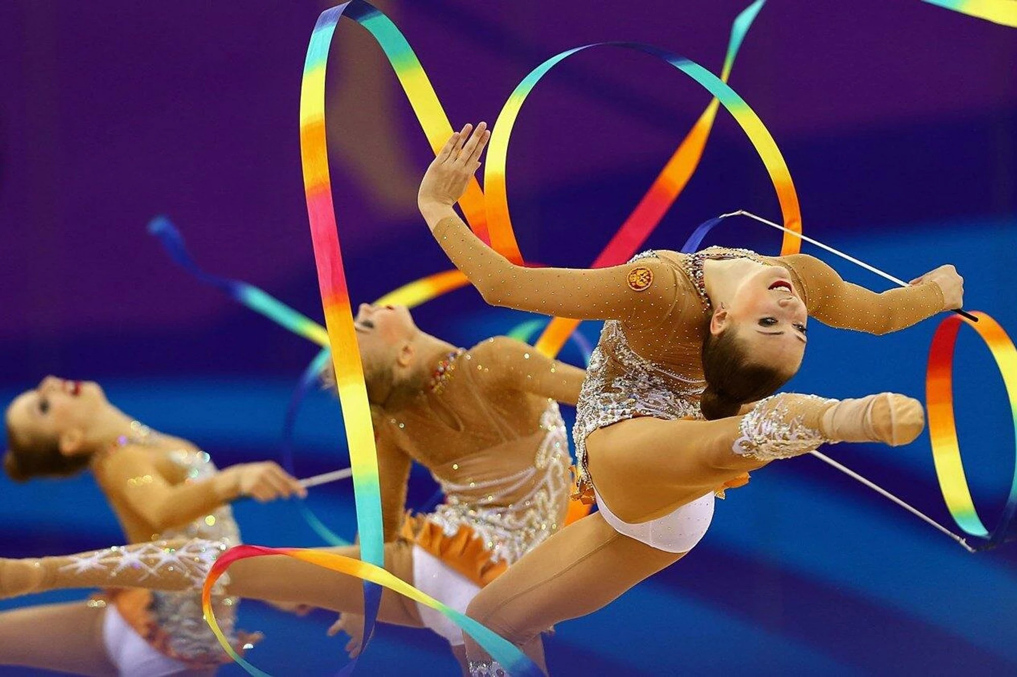 Kolibri (Спортивный клуб, секция )