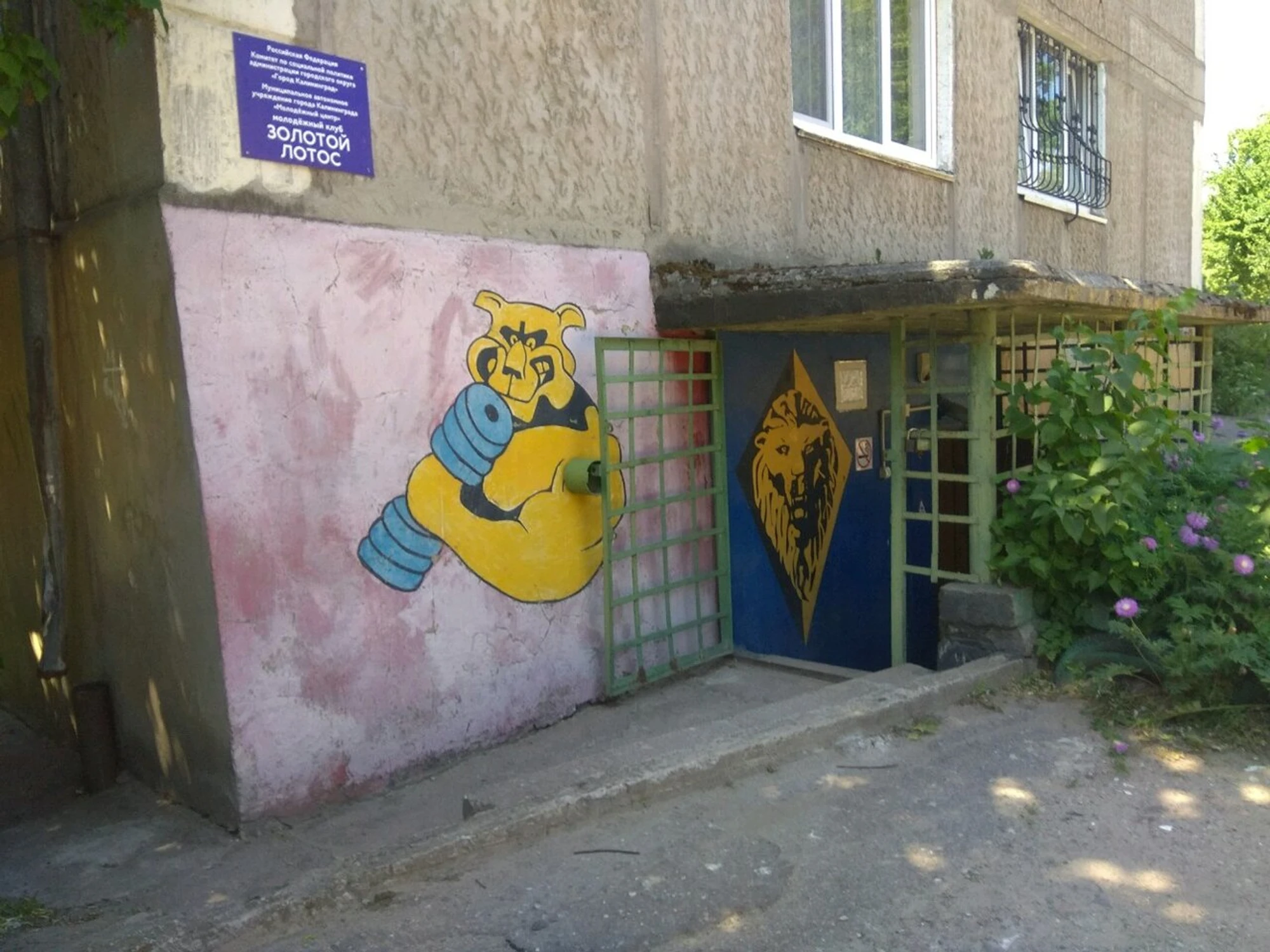 Молодежный клуб Золотой лотос (Клуб для детей и подростков)