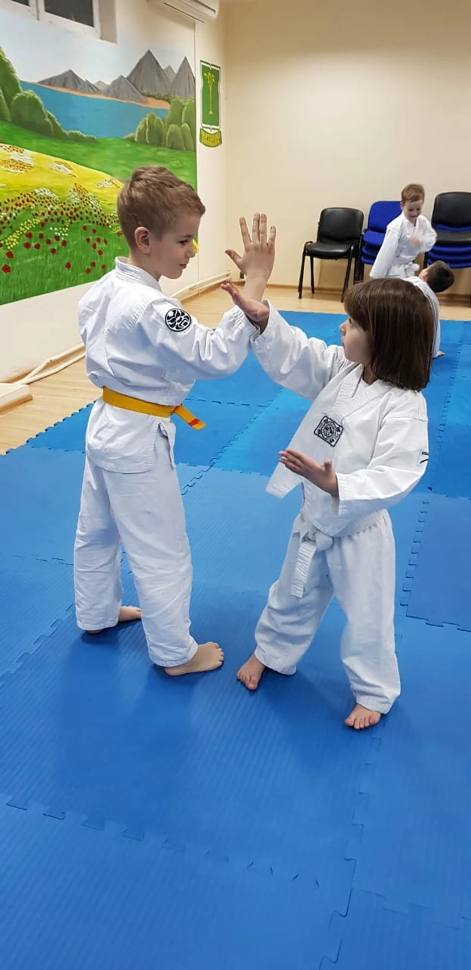 Детский клуб Сэйкан (Спортивный клуб, секция )