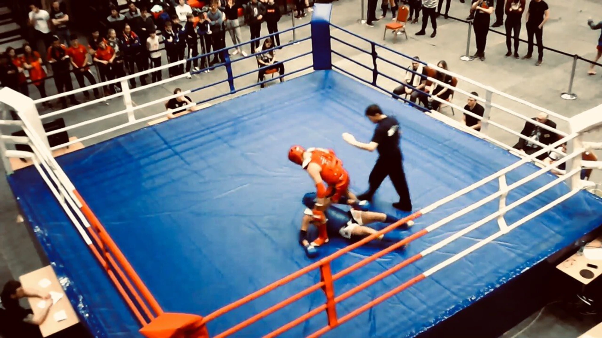 Muay Thai King (Спортивный клуб, секция )