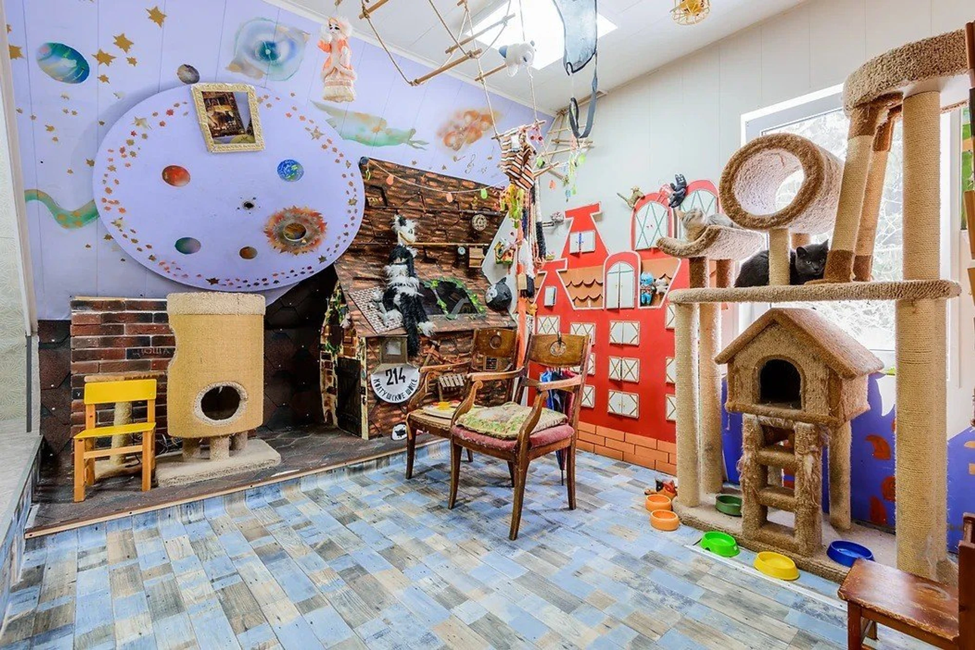 Фото:&nbsp;catmuseum.ru